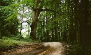 controls hearthssconsole