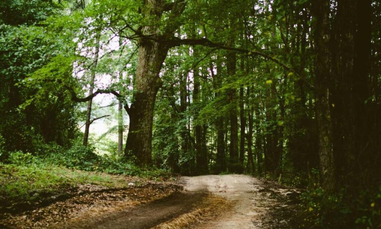 controls hearthssconsole