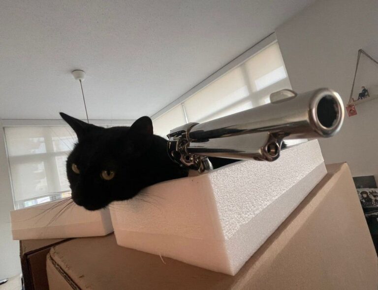 how to cancel obernaft game