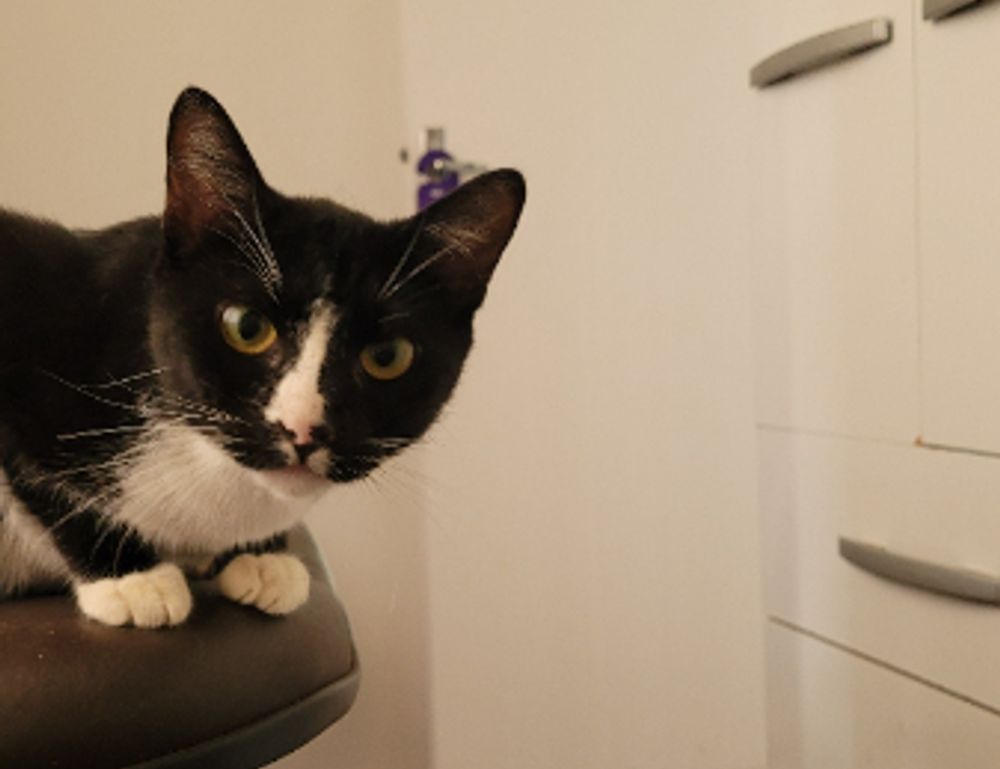 how to testing zillexit software