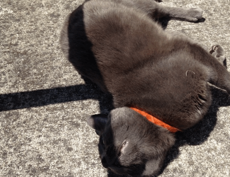 set up hearthssconsole