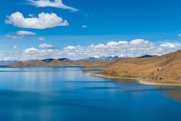 types hearthssconsole