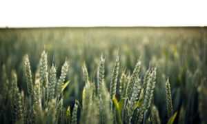 updates hearthssconsole