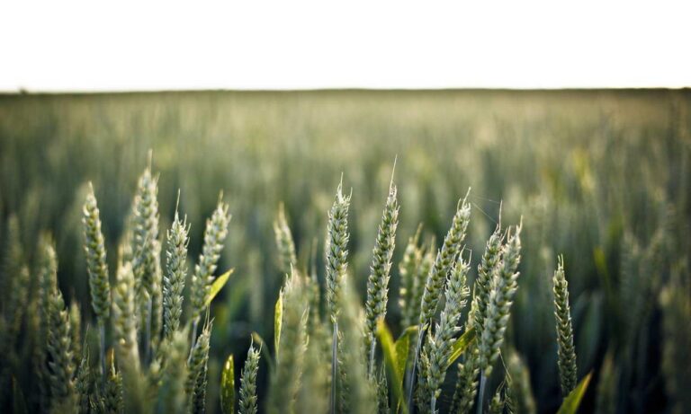 updates hearthssconsole