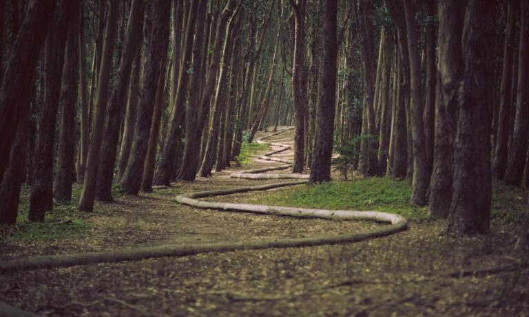 why is software bixiros.5a8 development process