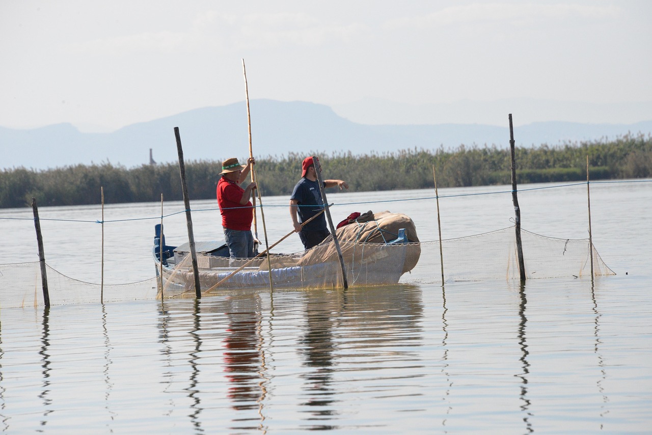 backward compatibility