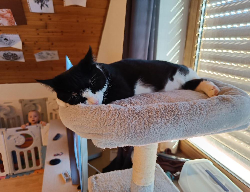 befitgametek gaming updates from befitnatic