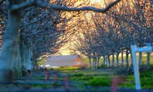 best cheap gaming pc upgrades jogameplayer