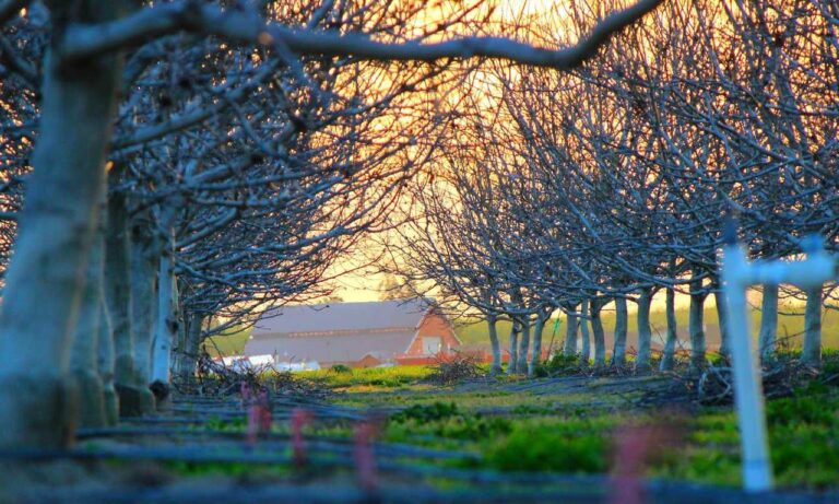 best cheap gaming pc upgrades jogameplayer