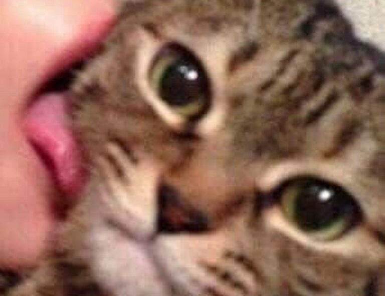 best game tutorials tportgametek