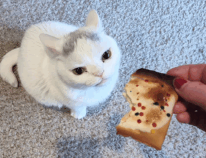 best online gaming guide feedgamebuzz