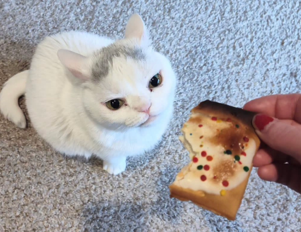 best online gaming guide feedgamebuzz