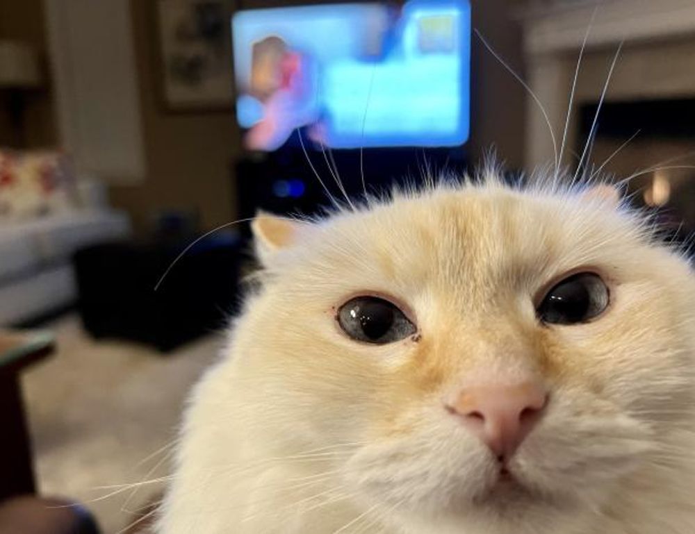 bfnctutorials game guides from befitnatic