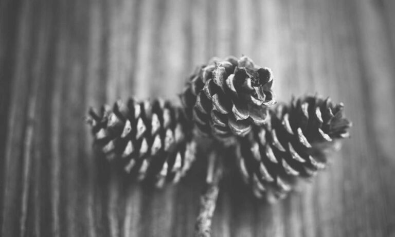 can i play online togamesticky