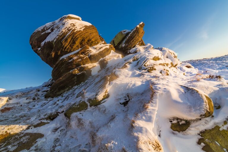 console news tportulator