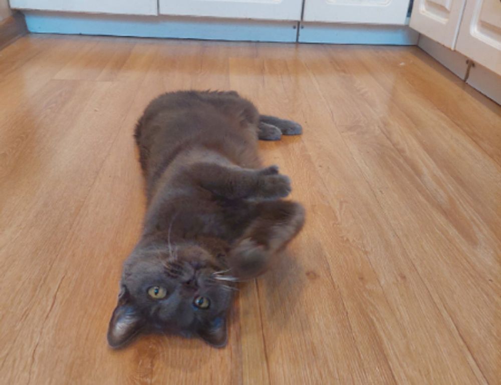 consoles video games togamesticky