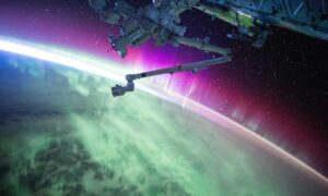 do online reviews matter bfncreviews