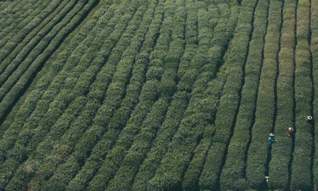 etruesports etsjavaapp guide