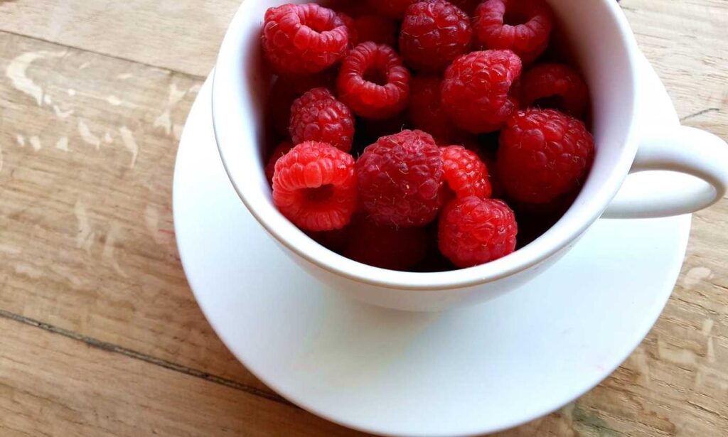 etsjavaapp release date by etruesports