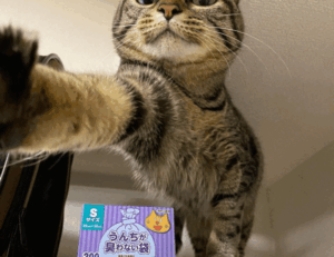 game event under growthgameline