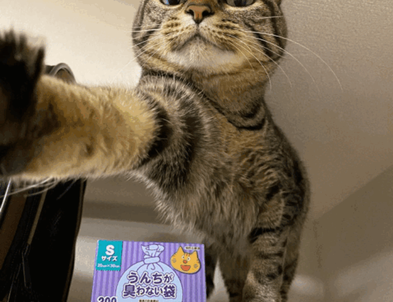 game event under growthgameline