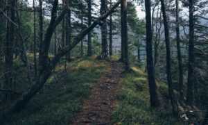 game guide tportgametek