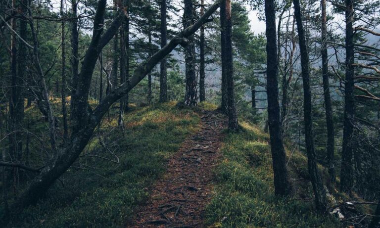 game guide tportgametek