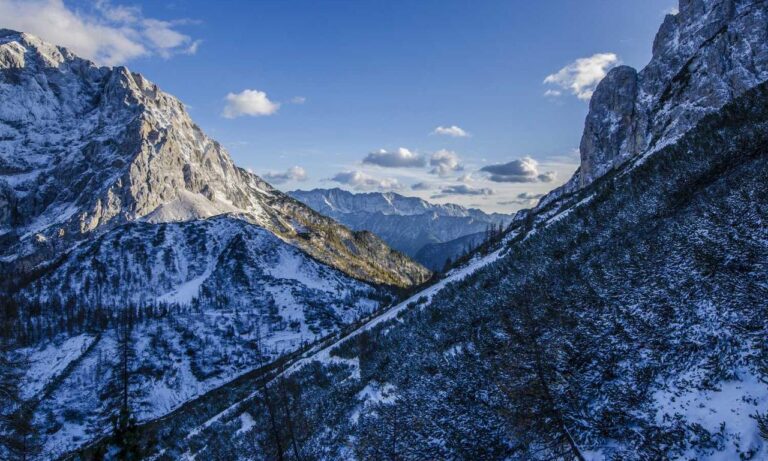 game tutorials bfnctutorials