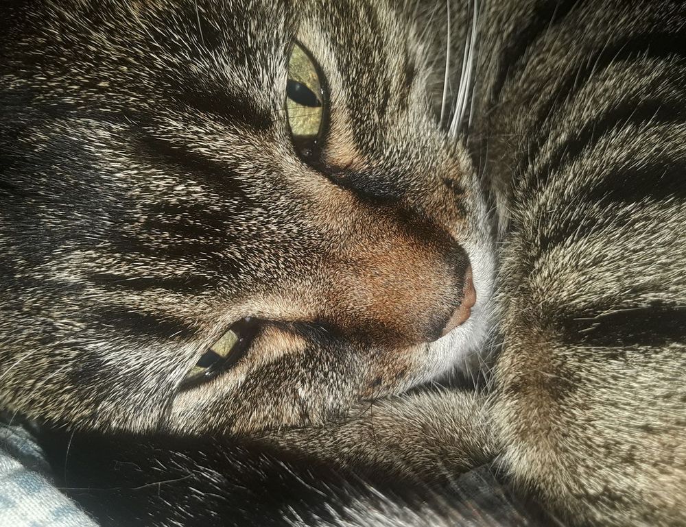 game updates tportgametek