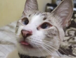 gaming hacks togamesticky