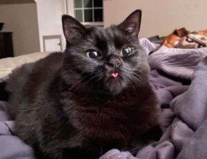 gaming pc hacks togamesticky