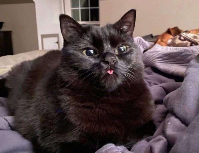 gaming pc hacks togamesticky