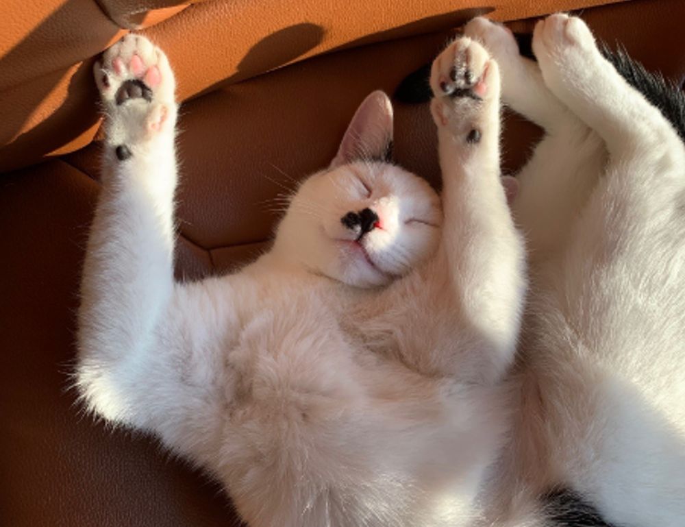 gaming trend tgarchirvetech