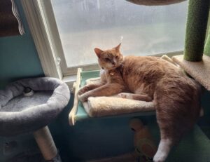 gaming tutorials thehakegeeks