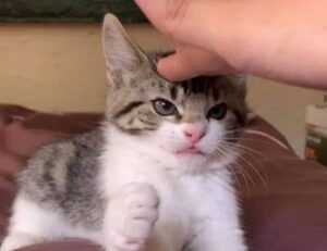 gaming updates befitgametek