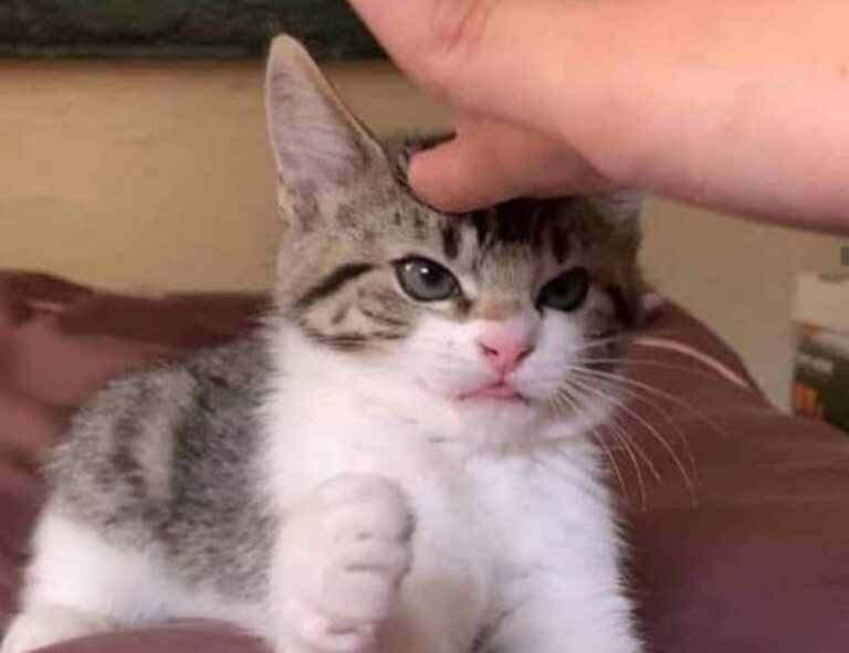 gaming updates befitgametek