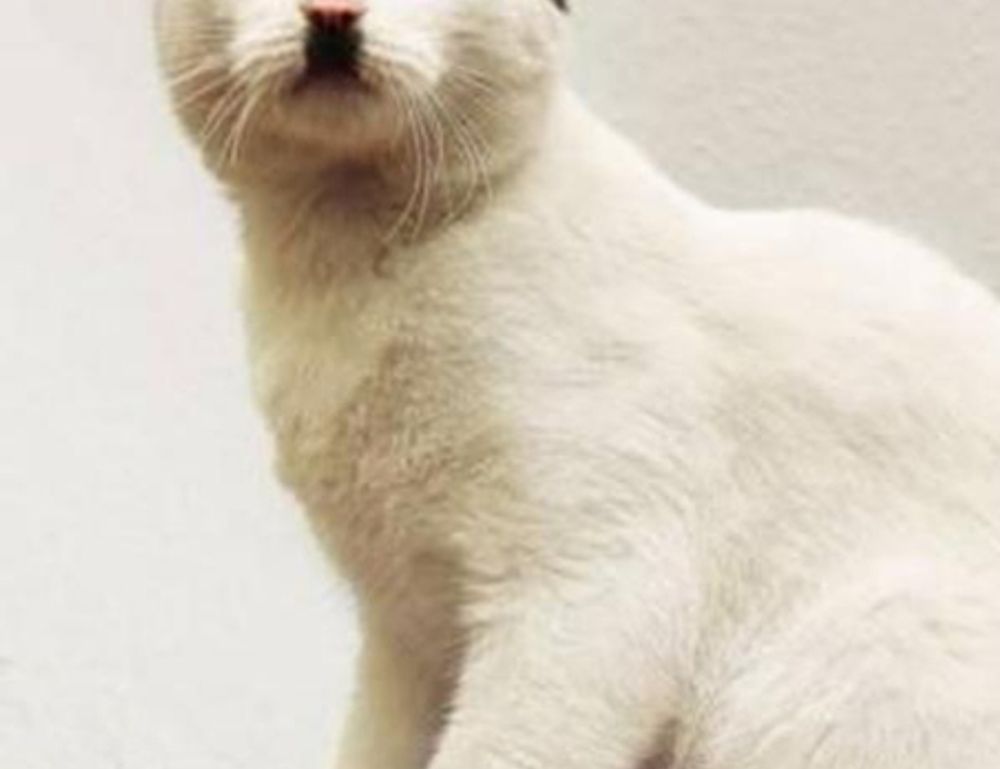 gmrrmulator newest updates by gamerawr