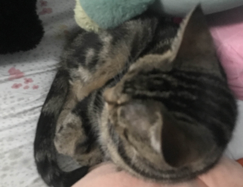 hosted event pblgamevent