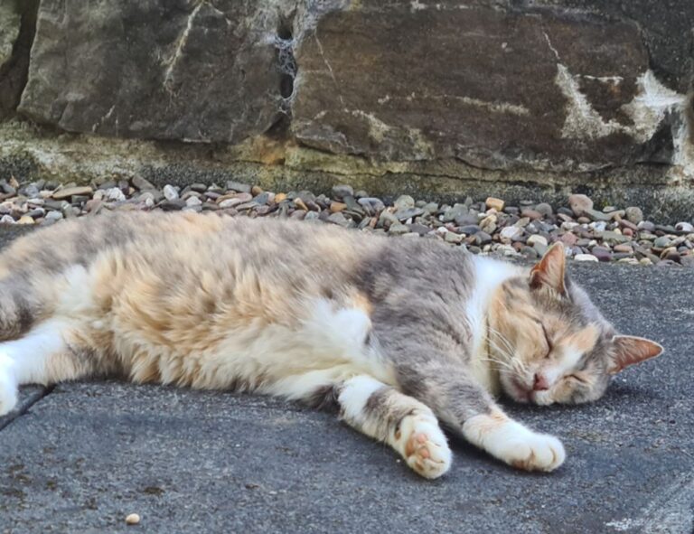 how are hacks made togamesticky