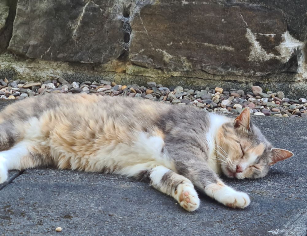 how are hacks made togamesticky