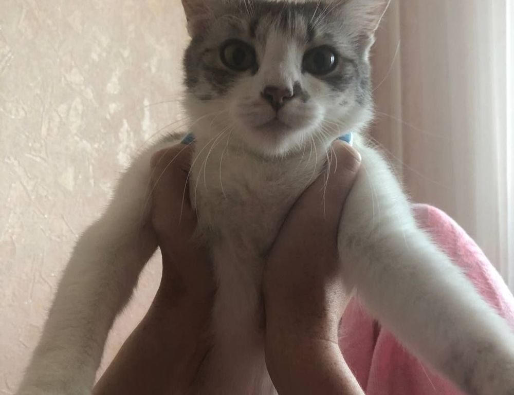 how gaming can be beneficial gamrawresports