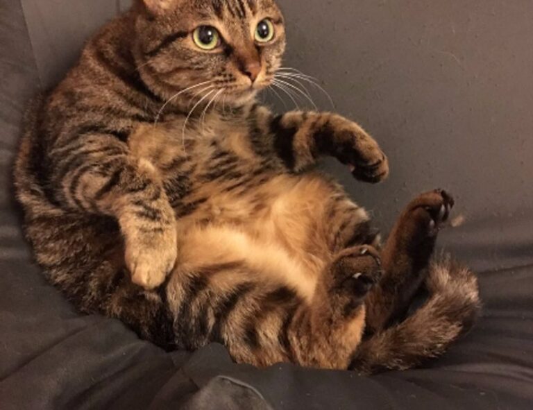 how often upgrade gaming pc jogameplayer