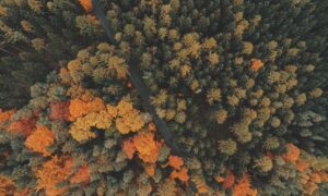 how set up jogamesole