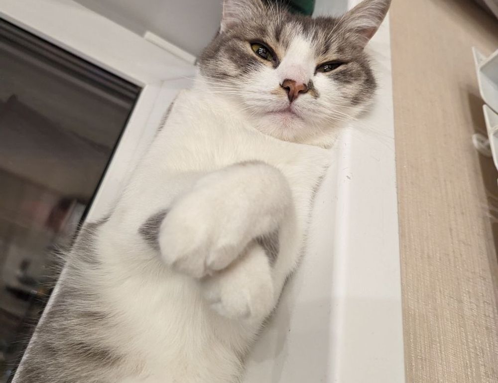 how to download games togamesticky