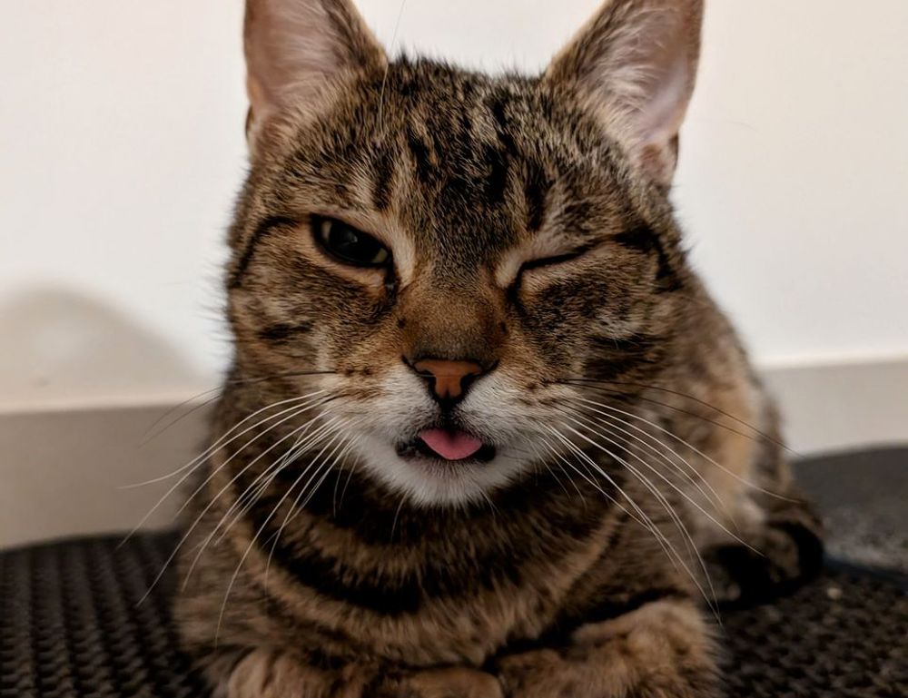 how to download games togamesticky