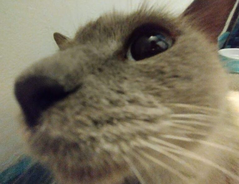 how to mine coins from gaming in 2023 feedgamebuzz