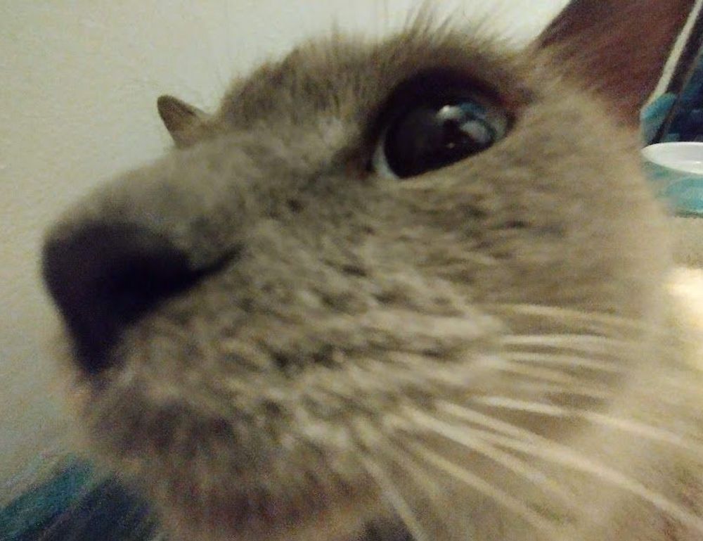 how to mine coins from gaming in 2023 feedgamebuzz