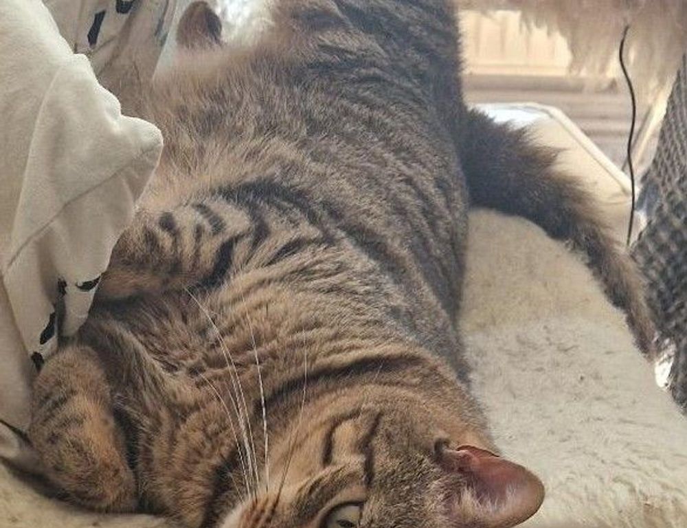 how to register tportvent