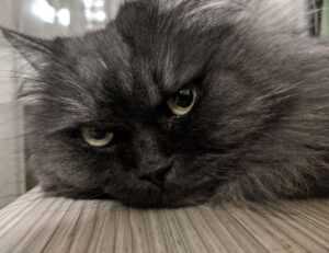 how to update a gaming pc jogametech