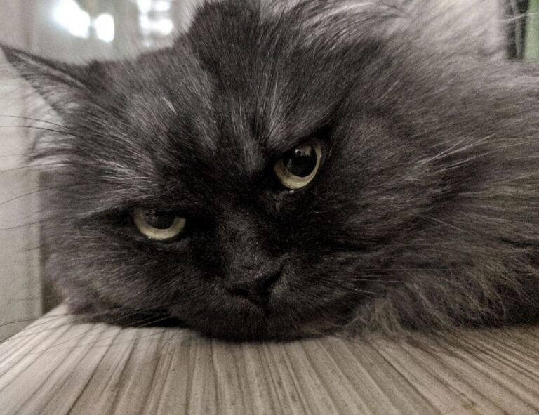 how to update a gaming pc jogametech